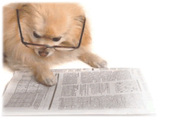 classifieds